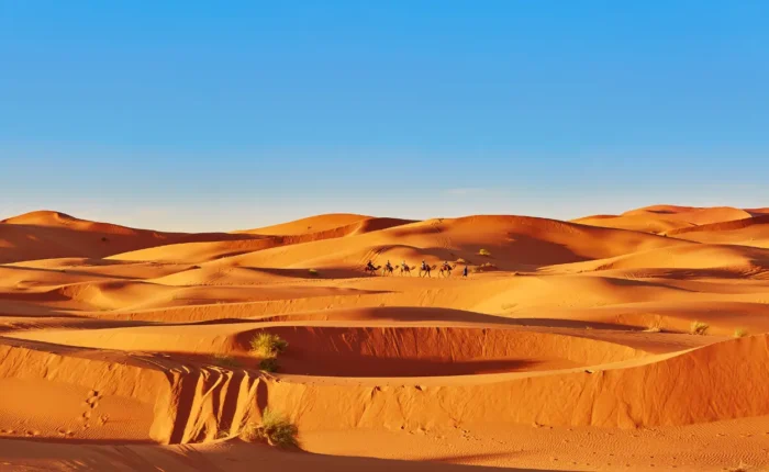 Happy Morocco | Morocco Tours