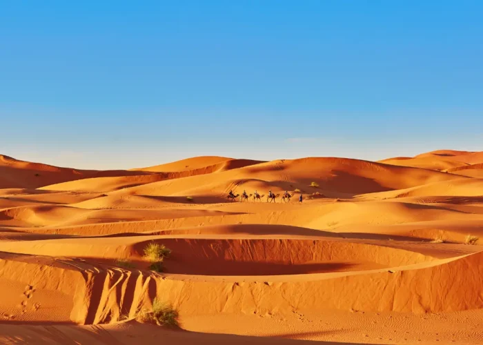 Happy Morocco | Morocco Tours