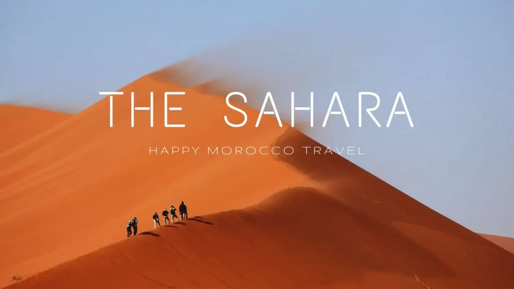 The Sahara Unveiling the Mystique of the World's Largest Desert