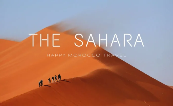 The Sahara Unveiling the Mystique of the World's Largest Desert