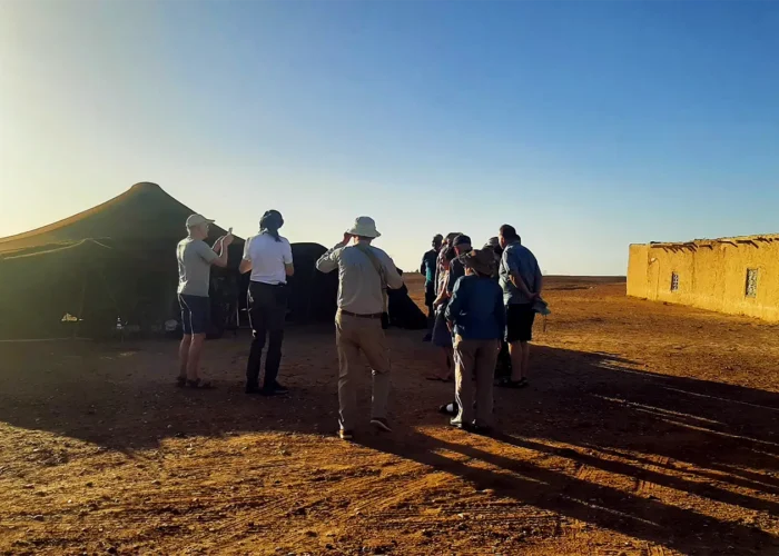 Morocco Itinerary for 14 Days