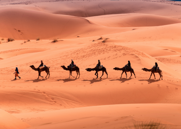 Camel Treks in Sahara Desert