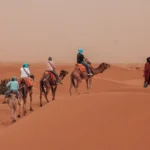 5 day morocco itinerary camel trek through Erg Chebbi dunes at sunset in Sahara Desert