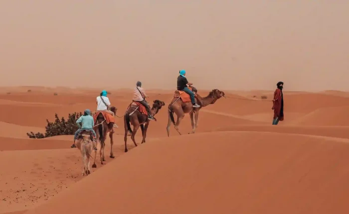 morocco-itinerary-5-days-sahara-desert-camel-trek 5 day morocco itinerary camel trek through Erg Chebbi dunes at sunset in Sahara Desert