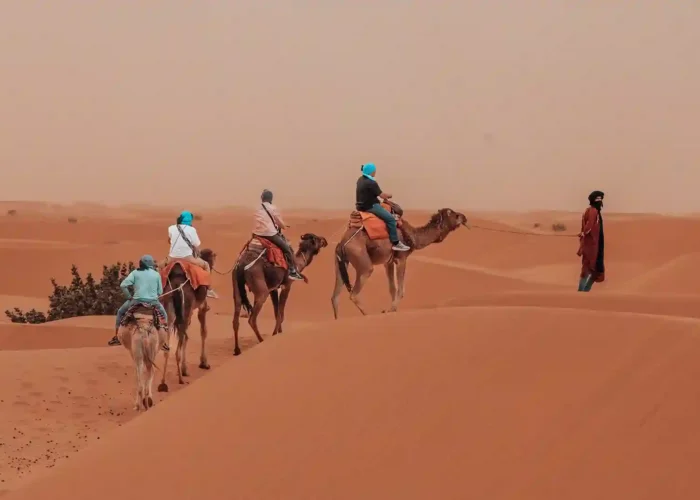 5 day morocco itinerary camel trek through Erg Chebbi dunes at sunset in Sahara Desert