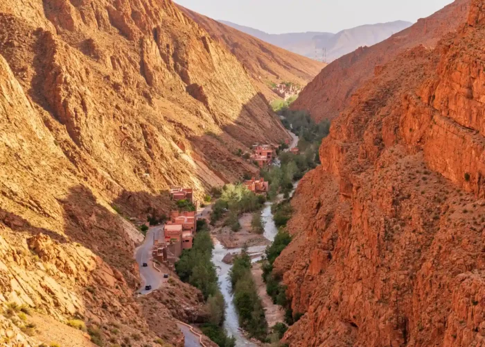 A vibrant, green valley in Morocco during spring, with blooming wildflowers in Atlas Mountains Dades Valley.