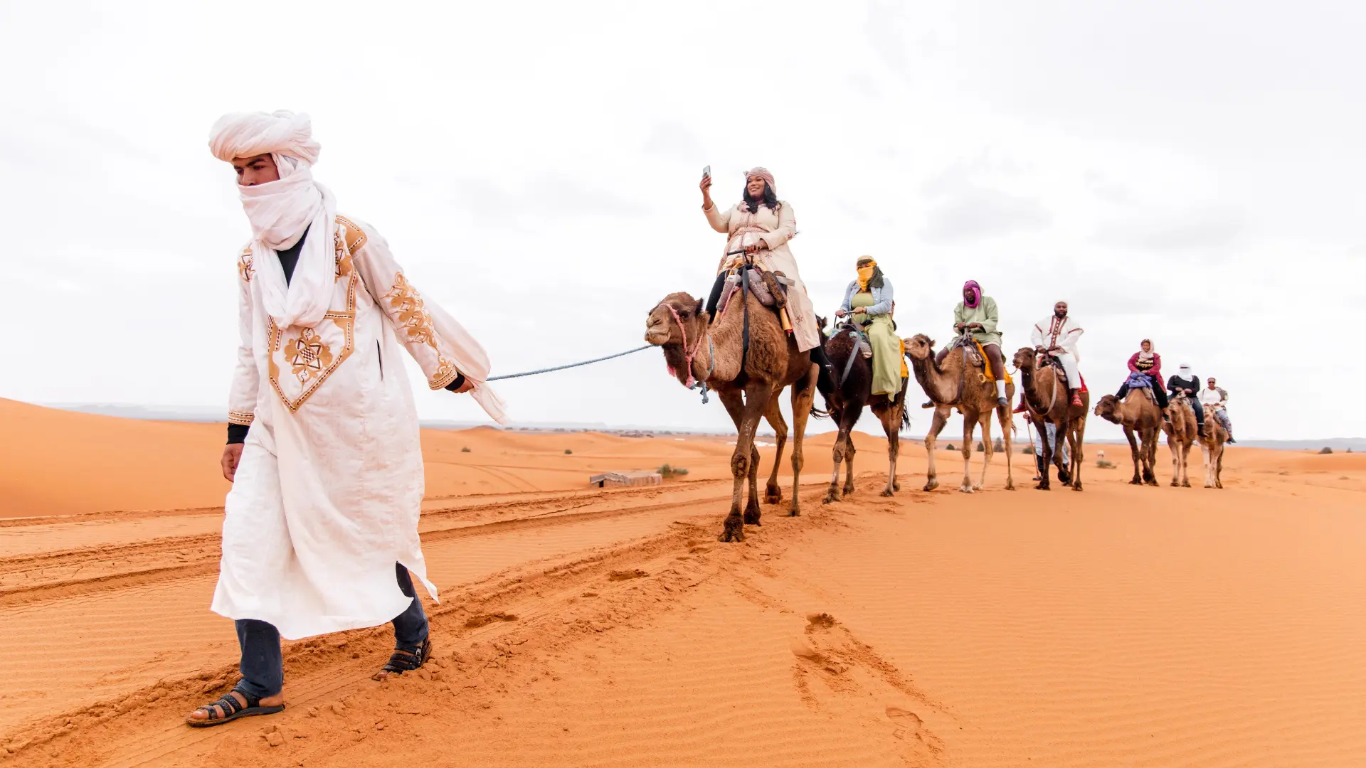 Local guide leading camels into the Sahara dunes near Merzouga