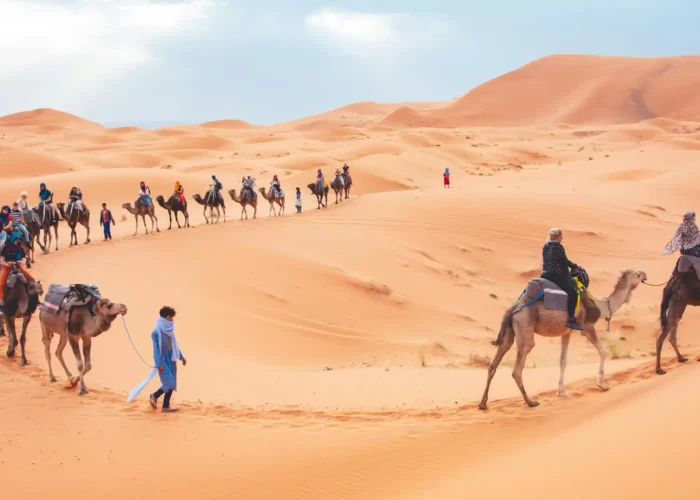 Sunset camel trek in Erg Chebbi dunes on a Morocco Sahara desert tour