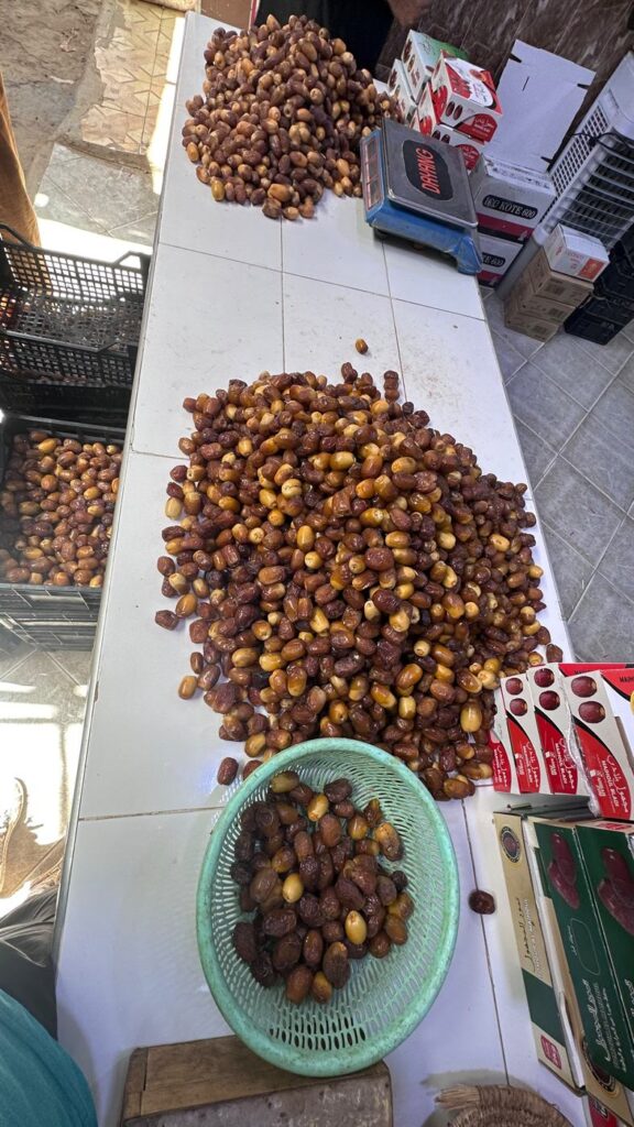 Fresh dates from the Tafilalet oases piled on a table and in a basket for sale at Rissani souk.