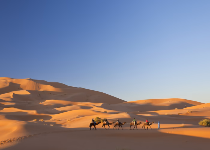 Camel caravan led by a guide in a blue robe across tall orange Sahara dunes
